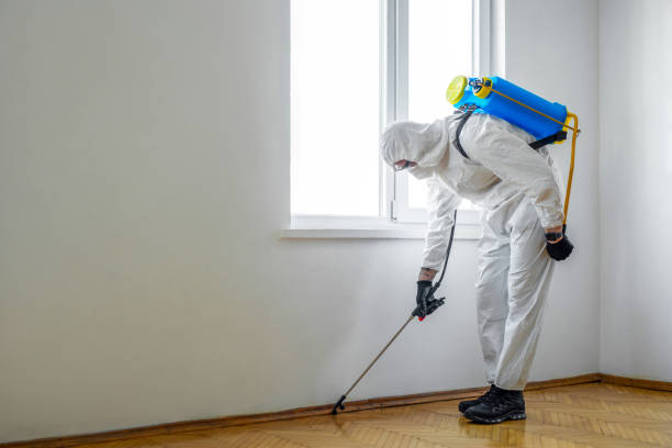 Best Affordable Pest Control Services  in Farmers Loop, AK